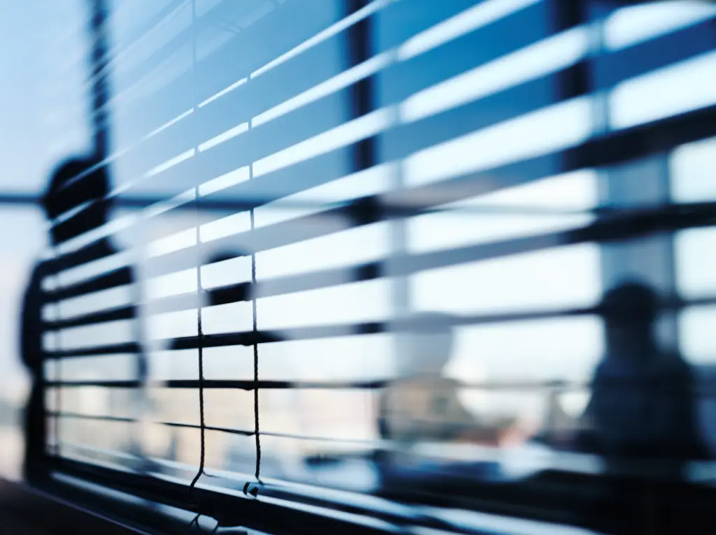 Office Blinds