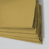 Yellow Blinds