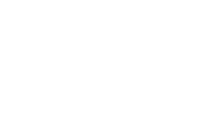 white intu logo
