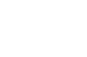 white vision blinds logo