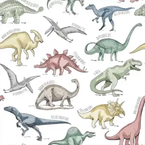 DINOSAUR BO PREHISTORIC