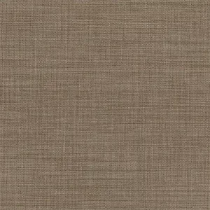OSLO BIRCH