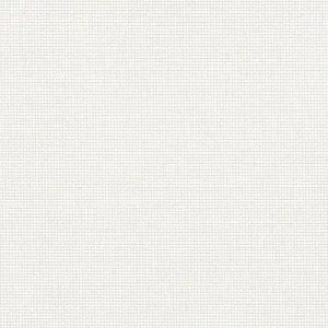 PERSPECTIVE 5 PERCENT WHITE