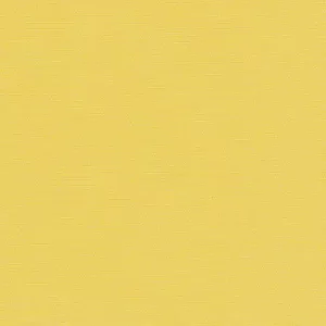 POP BO LEMON