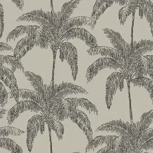 VINTAGE PALM BLACK