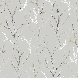 WILLOW BO BIRCH WHITE