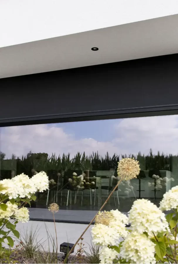 External Blinds