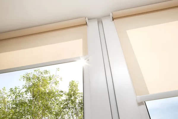 Roller Blinds Summer